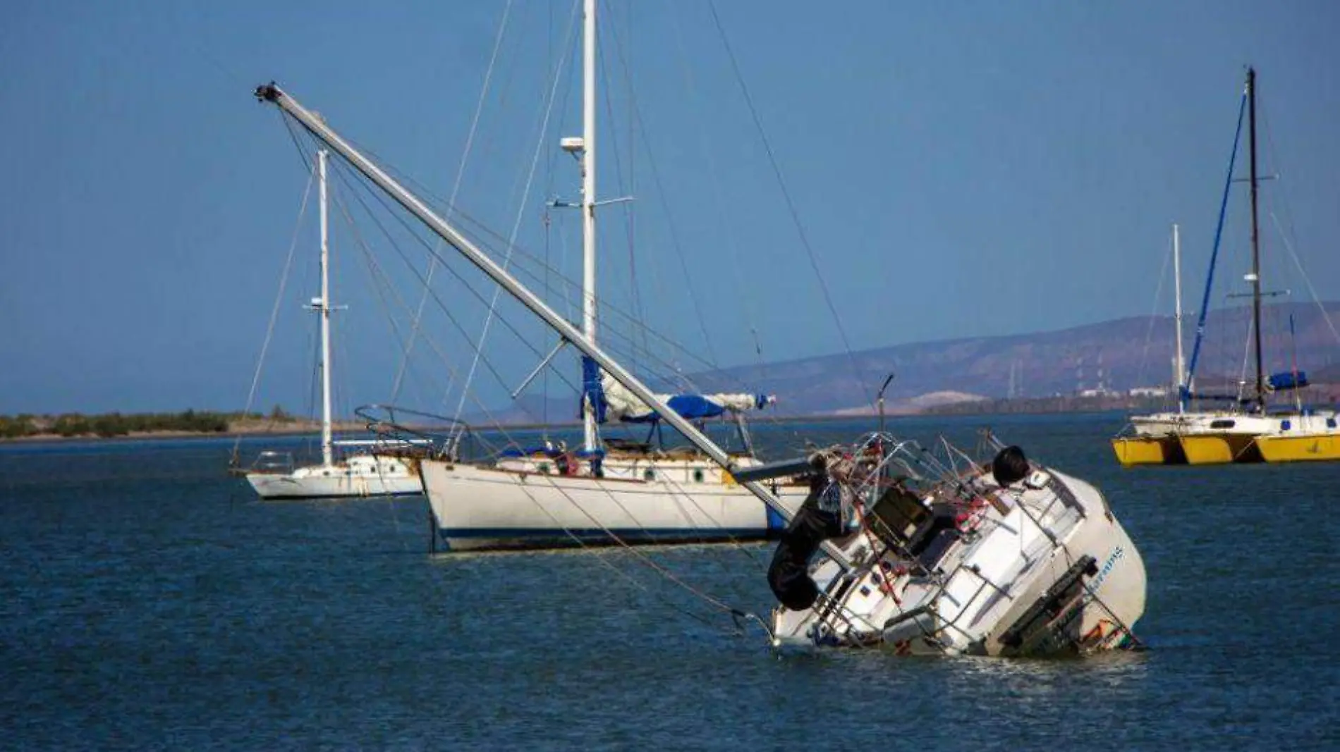 bahía de la paz no esta contaminada 1